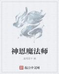 神一样的魔法师小说