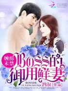 婚内试爱:BOSS花式宠妻 小说