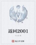 返回2001