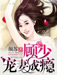 小说顾少宠妻成瘾