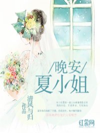 《晚安小姐姐》作者:乔其纱