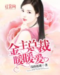 女主是暖暖的小说总裁