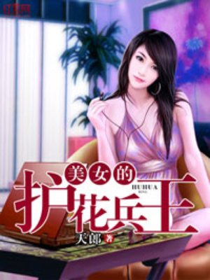 美女的护花兵王石天免费txt