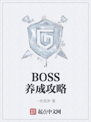 BOSS养成攻略