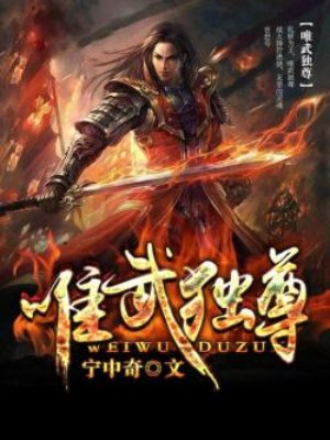 唯武独尊txt