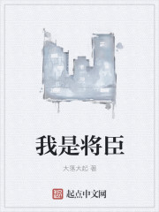 我是将军小说