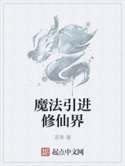 魔法师修炼小说