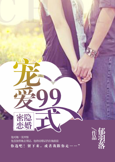 隐婚密恋:宠爱99式全文阅读