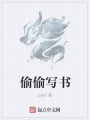 将军令小说偷偷写文