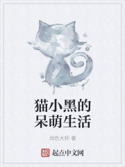 黑小猫战绩