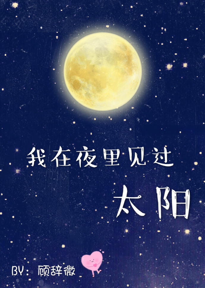 我在夜里见过太阳