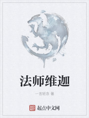 法师维迦有声小说