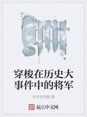 穿越历史当将军的小说