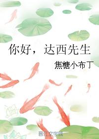 你好达西先生无防盗