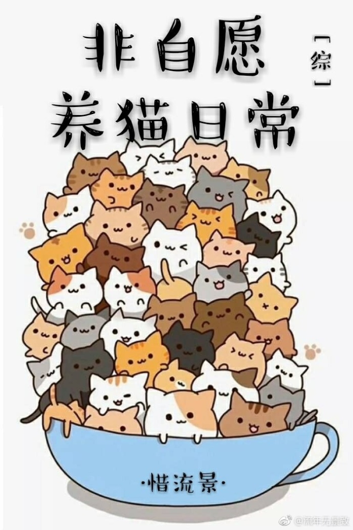 综非自愿养猫日常txt