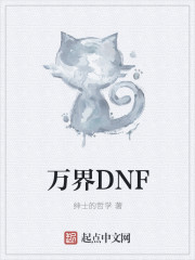 万界dnf 小说