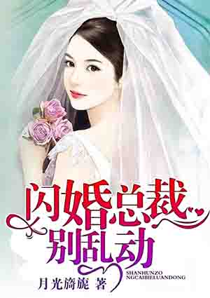 闪婚总裁别乱动 月光旖旎