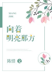 向着明亮那方作文800字