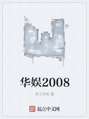 华娱2008下载