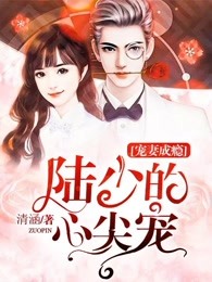 宠妻成瘾:陆少的心尖宠 动态漫画 第1季 2020