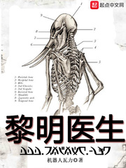 黎明医生剧情详细解析