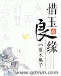 惜玉良缘txt