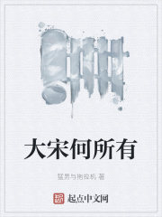 大宋何所有