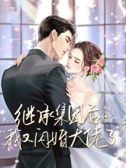 继承集团后，我又闪婚大佬了