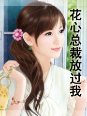 花心总裁1追前妻