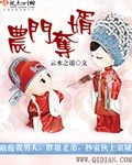 农门夺婿txt