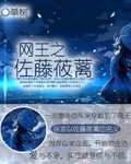 网球王子之u17女主小说