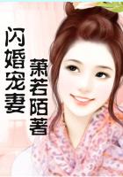 闪婚宠妻小说