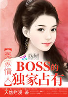 冤家情人:boss的独家占有小说