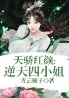 天骄红颜:逆天四小姐 青云雁子