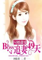 闪婚甜爱:BOSS追妻49天 小说txt