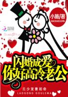 闪婚成爱：你好，高冷老公