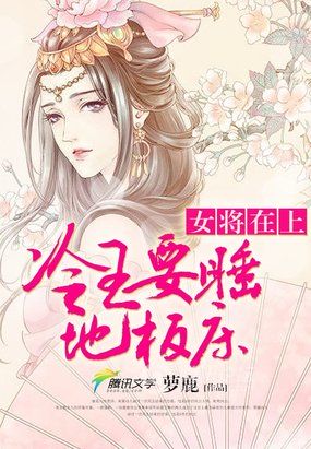 女将军在上电视剧