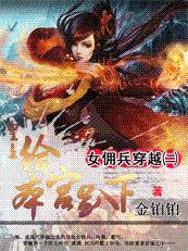 女佣兵穿越2：笑看风云起（一笑取江山）