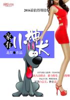 关于神犬小