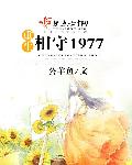 重生相守1977 小说免费