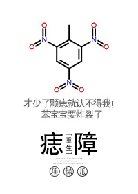 胭脂痣重生TXT