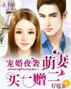 宠婚夜袭:萌妻买一赠二柠檬蜜txt下载epub