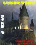 哈利波特与佩佛利尔epub