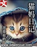 猫的电脑日记怎么样