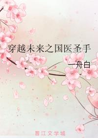 穿越未来之中医 小说