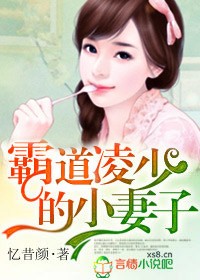 霸道凌少的妻子txt