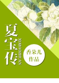 夏宝传ⅲ 小说