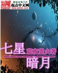 七星镖暗器