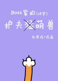 boss的护夫萌兽快穿百度网盘